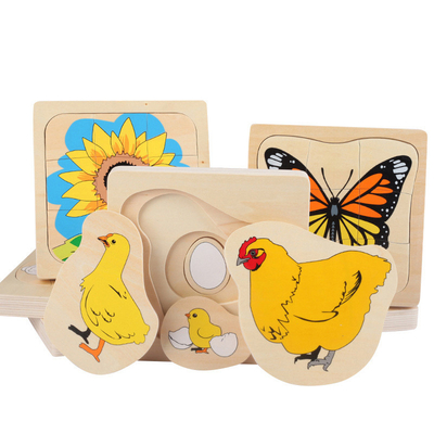 kopen Montessori vroege kinderopvoeding speelgoed groeiproces Montessori dieren en planten mannen en vrouwen meerlagige puzzel online manufacture