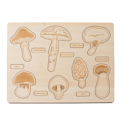 kopen Montessori speelgoed houten paddenstoel Groeicyclus Puzzle &Houten Dinosaurus Puzzle online manufacture
