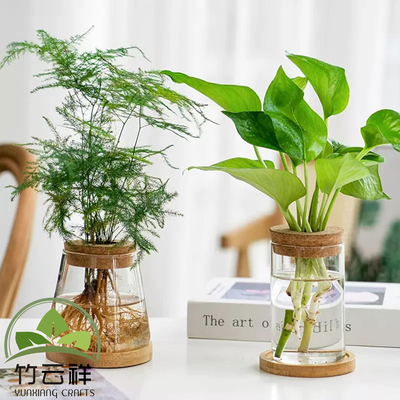 comprar Planta de Vaso de Vidro de Escritório de Madeira Personalizada Planta de Propagação Terrário online manufacture