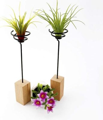 comprar En la actualidad, la mayoría de las plantas de madera son de madera. Fabricación en línea