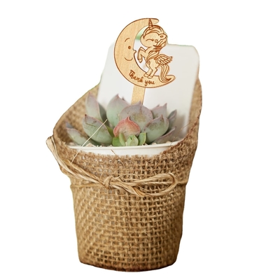 Succulent Tags Watch Me Grow Houten Plant Label Tuin Marker Plant Sign Succulent Labels voor Moedersdag Baby Shower