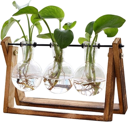 Desktop Glass Planter Plant Terrarium met Retro Solid Wooden Stand en Metal Swivel Holder voor Home Office Decoraties