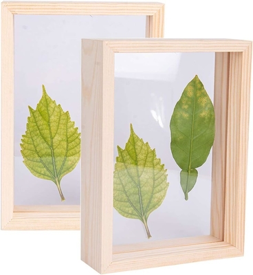 Office Home Desktop Display Houten frame voor DIY Droog bloemen en bladeren